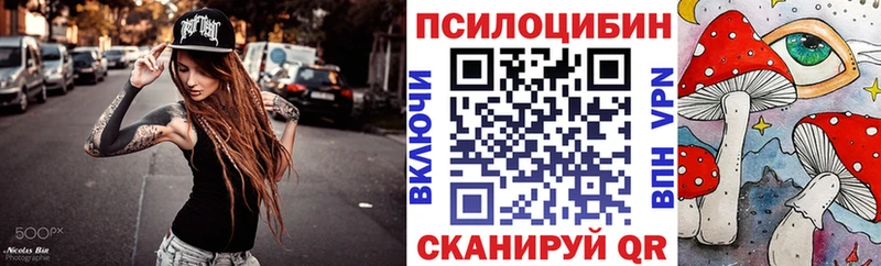 Купить где  Белебей  Псилоцибиновые грибы прущие грибы 